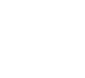 WP Mayor