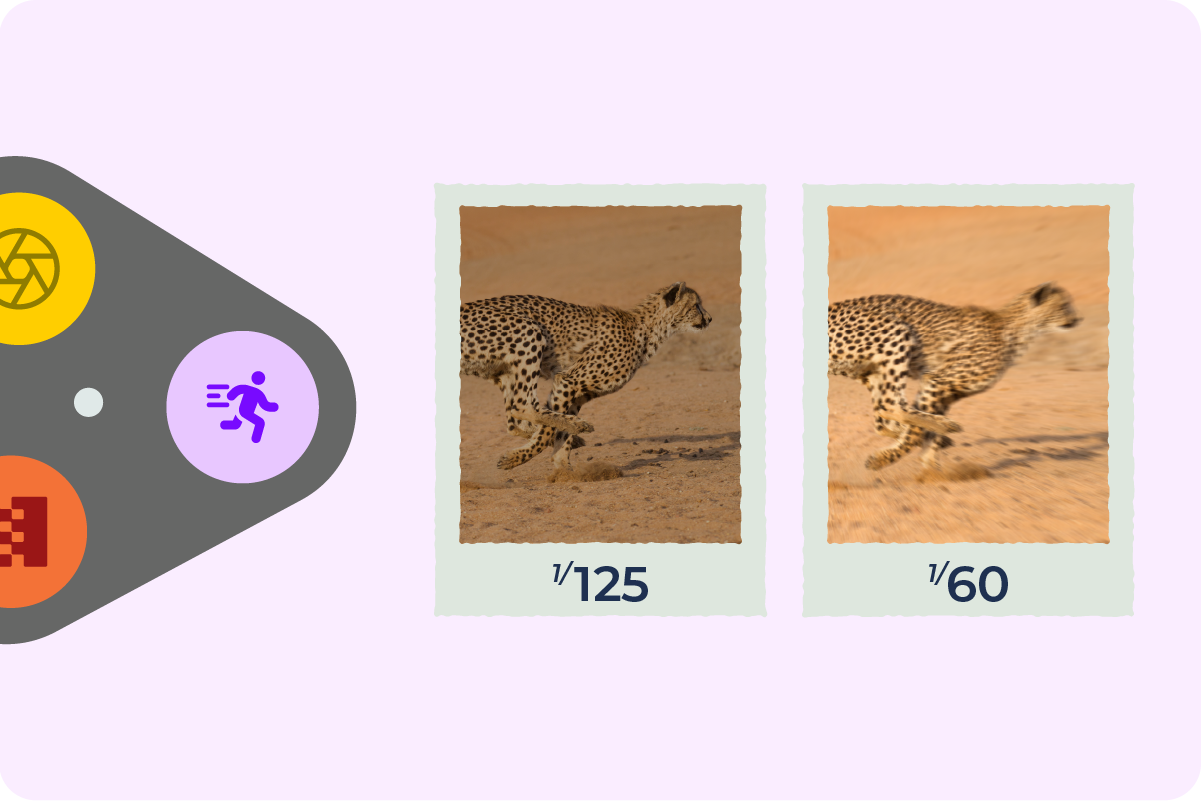 The two images of cheetah side by side showing a representation of how shutter speed alters images.